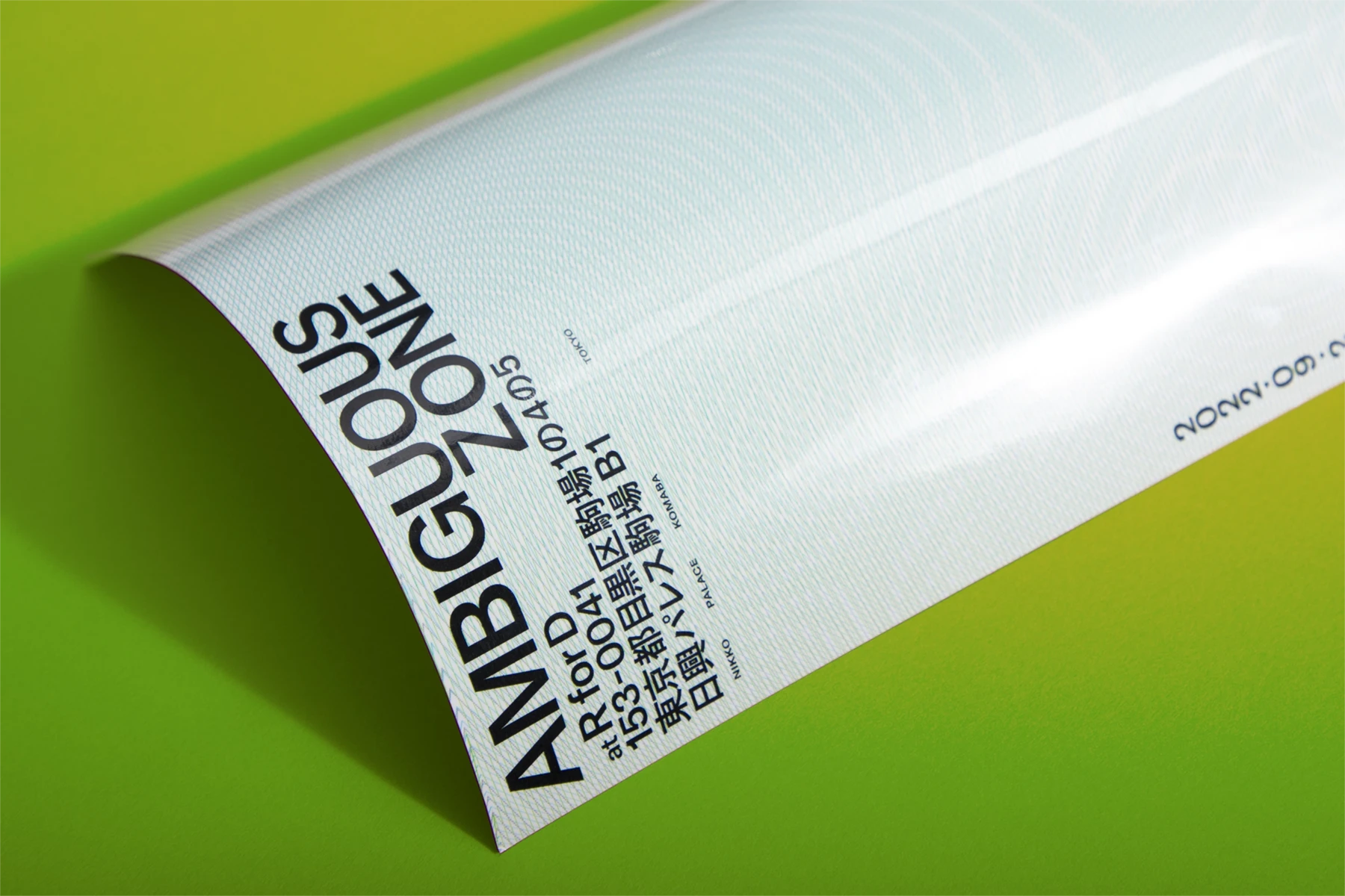 Ambiguous Zone — Flier Design