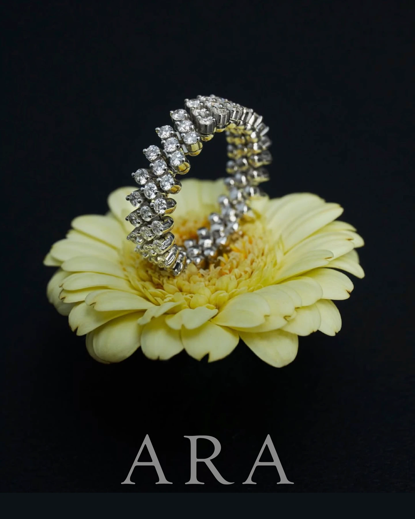 ARA Fine Jewellery —  Key Visual