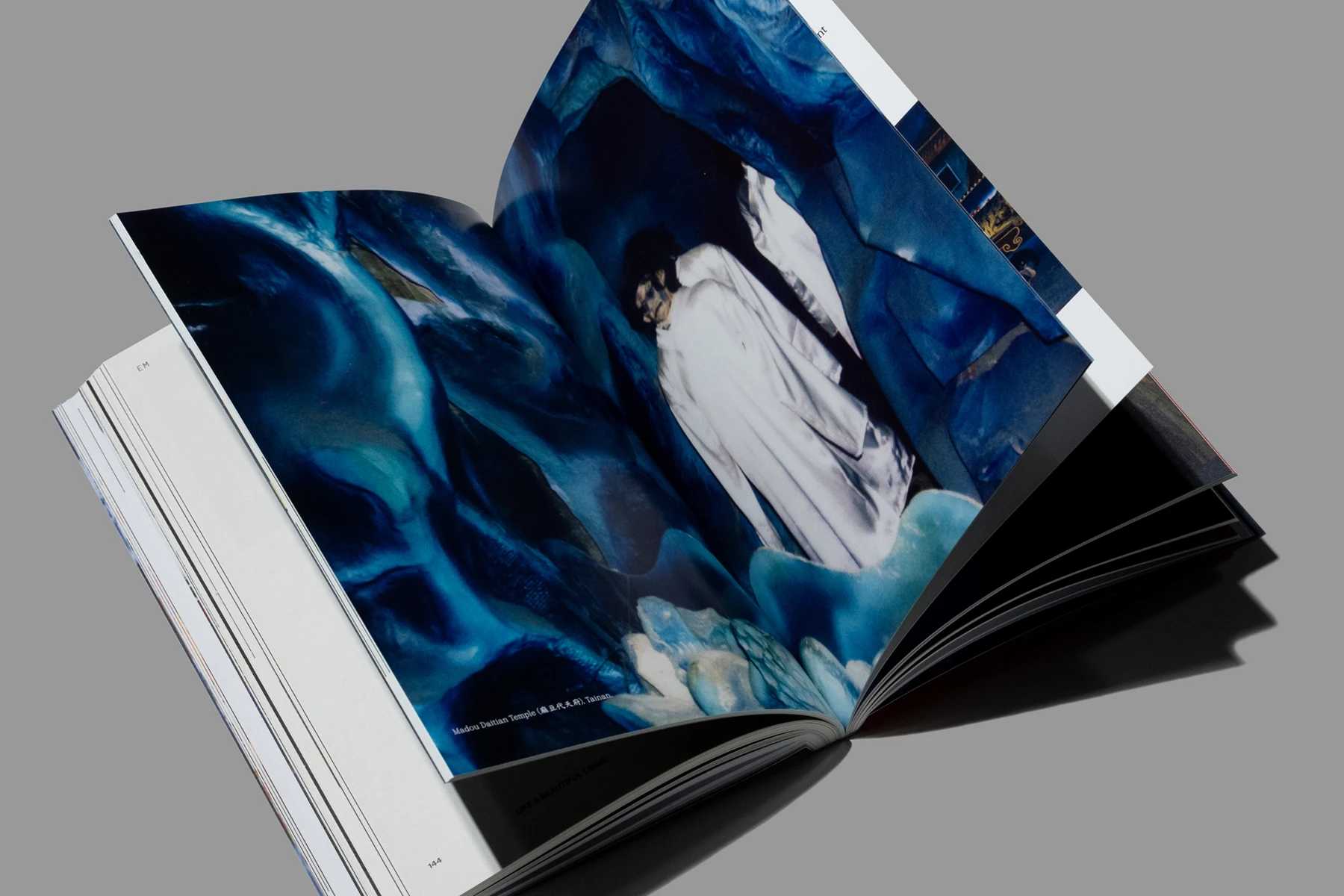 White Fungus Issue 18 — Inside Spread Layout