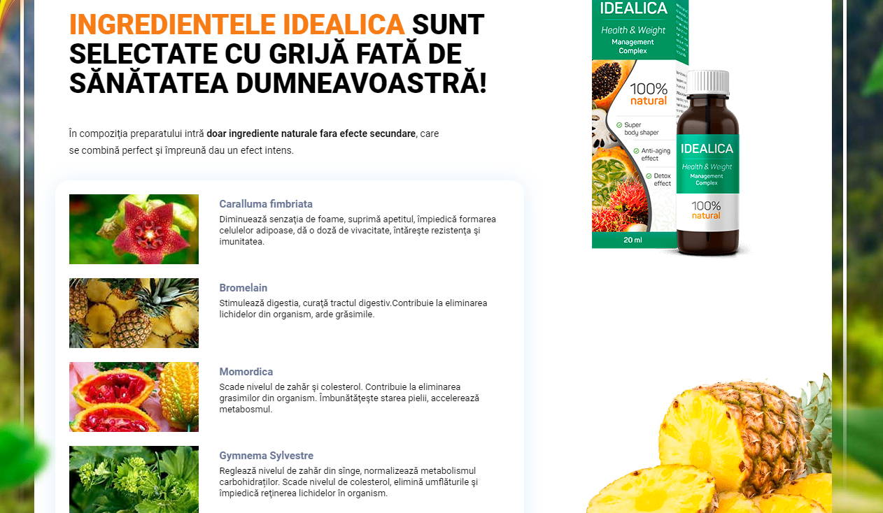 Idealica 1