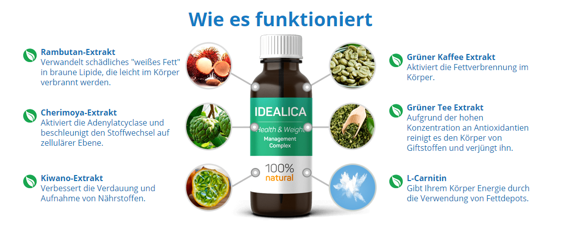 IDEALICA 3