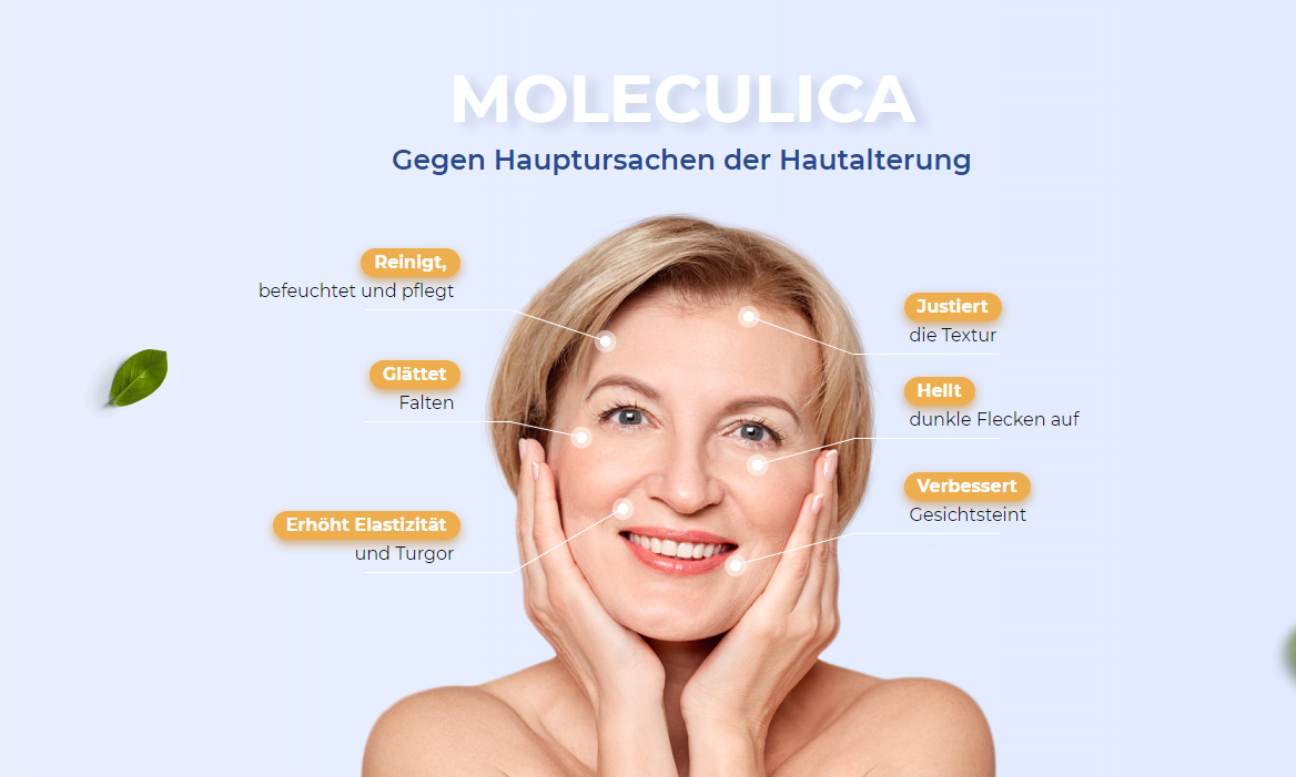 MOLECULICA 6