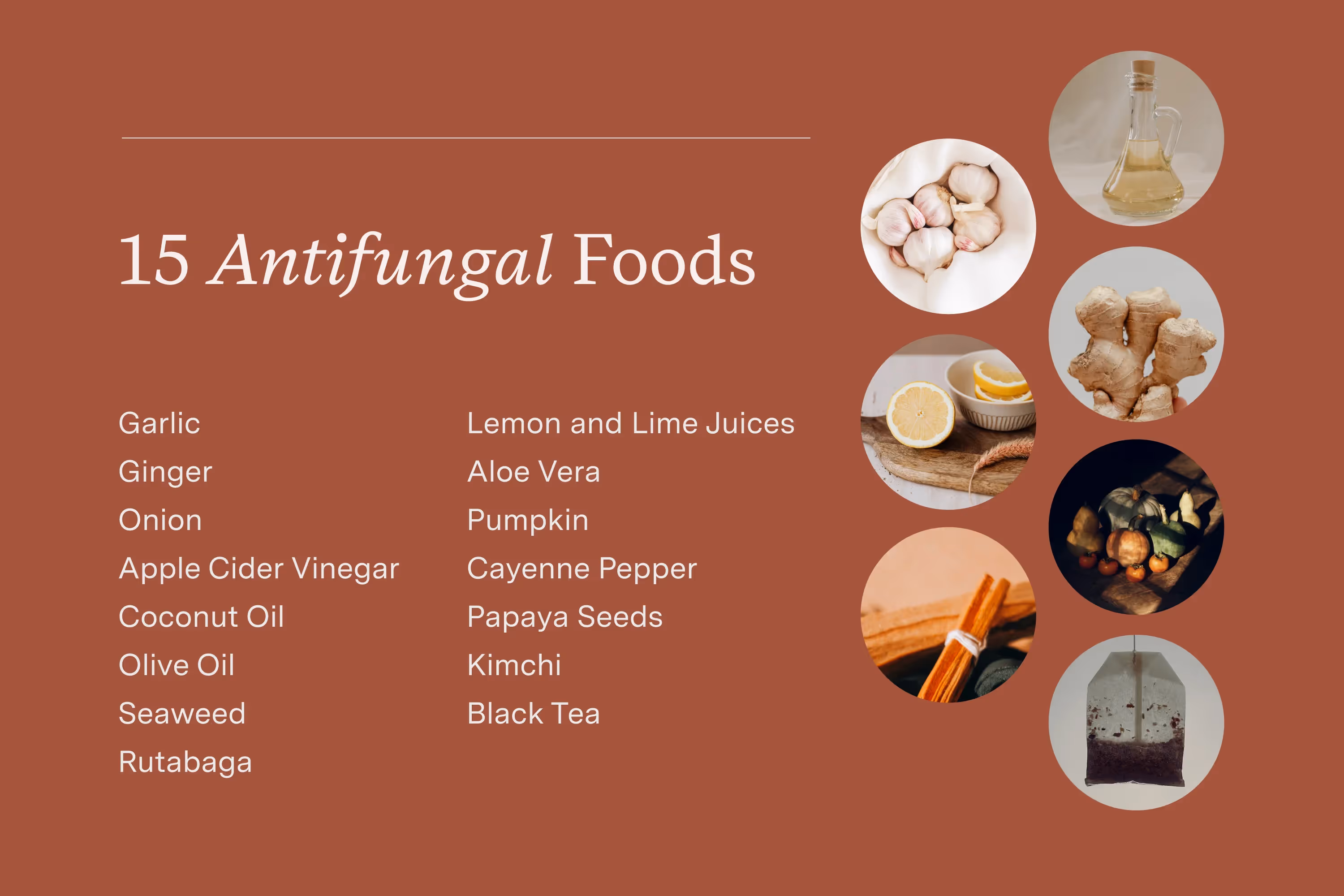 a list of fifteen antifungal foods infographic