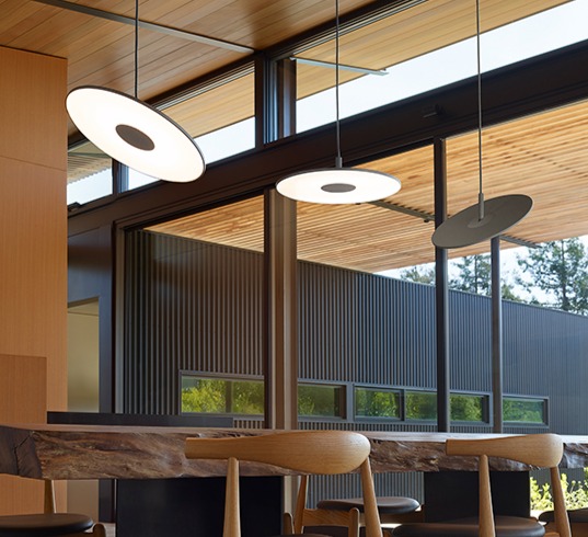 Circa Celing Light