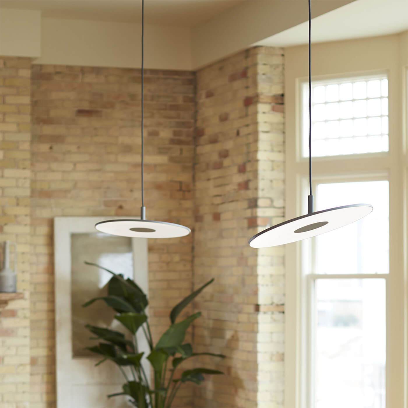 Circa Celing Light