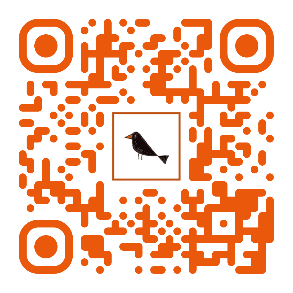 Neewsletter mirlostudio.news