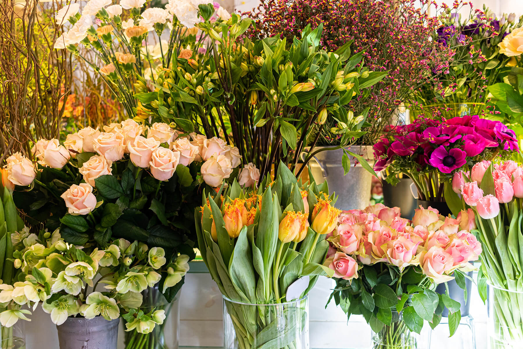 Overzicht van verschillende bloemen in de winkel van Erna te Beveren.