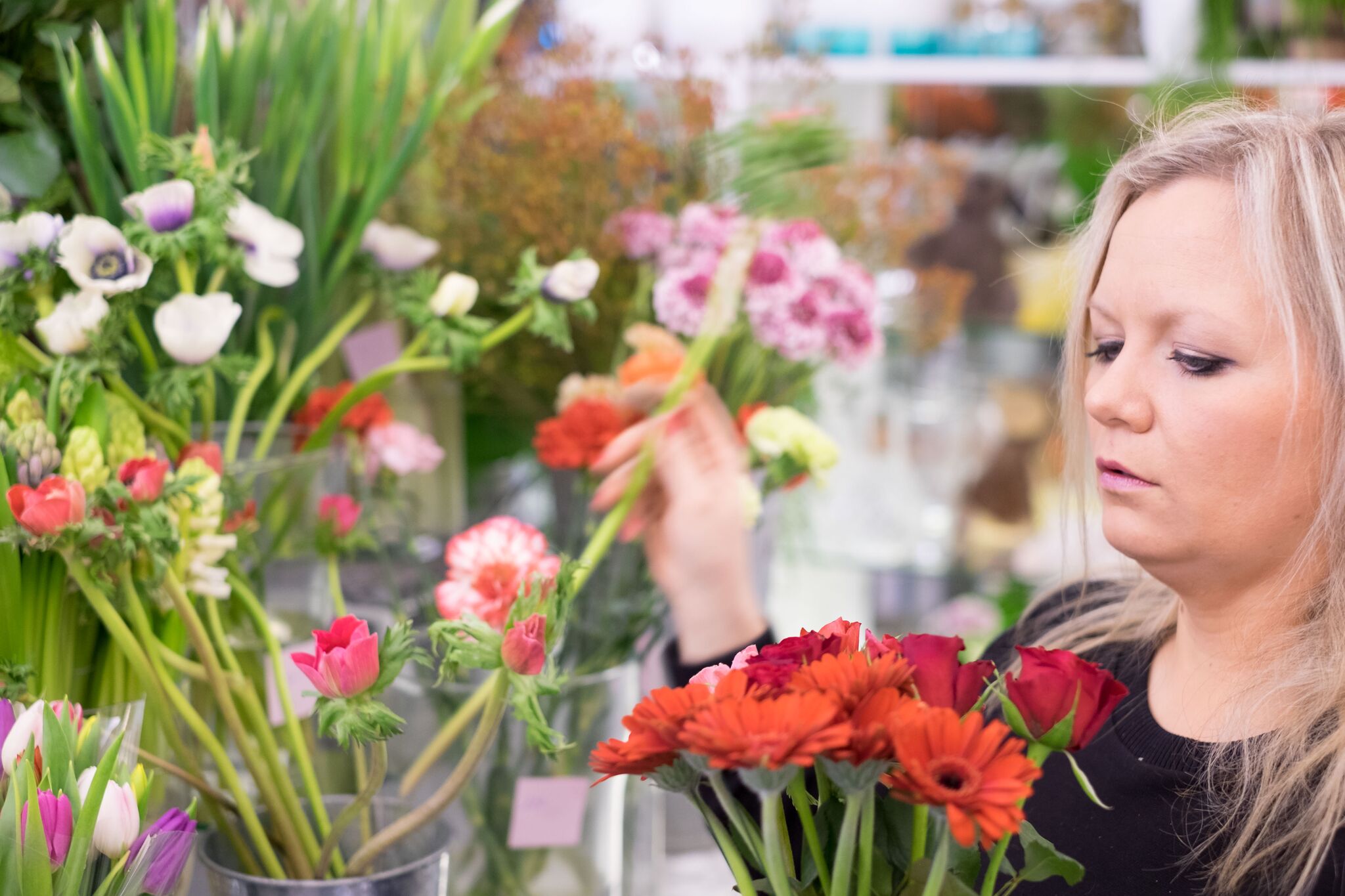 Medewerkster Anneleen selecteert bloemen met de hand.