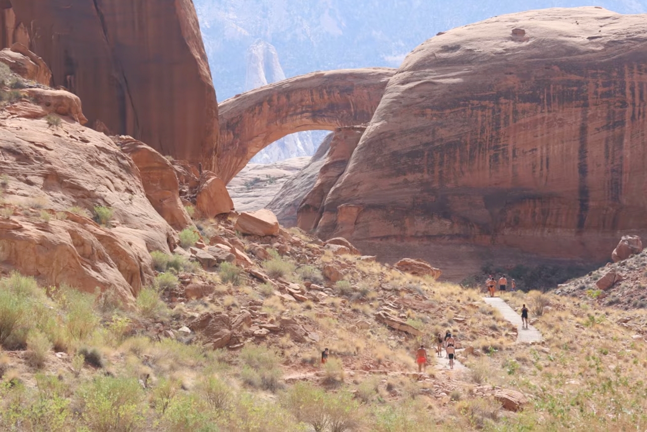 Why Near Enemies Are Harder to Spot