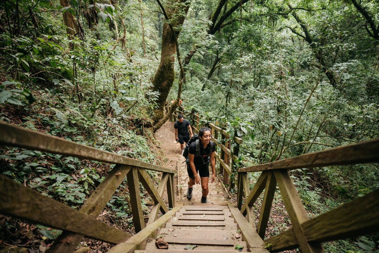 Why We Need to Pay Attention to Body, Heart, Mind, and Spirit