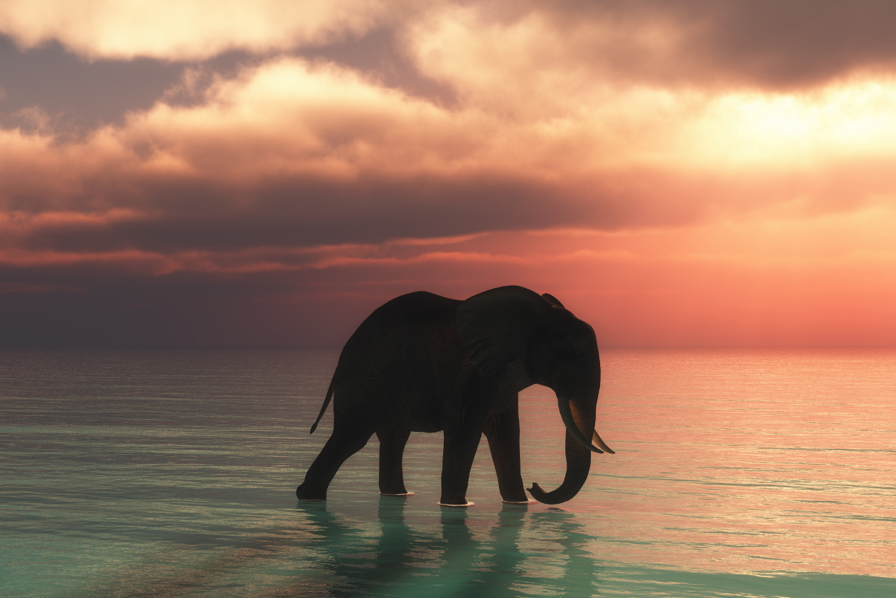 We Need Each Other to See the Elephant: Occhiolism in Action