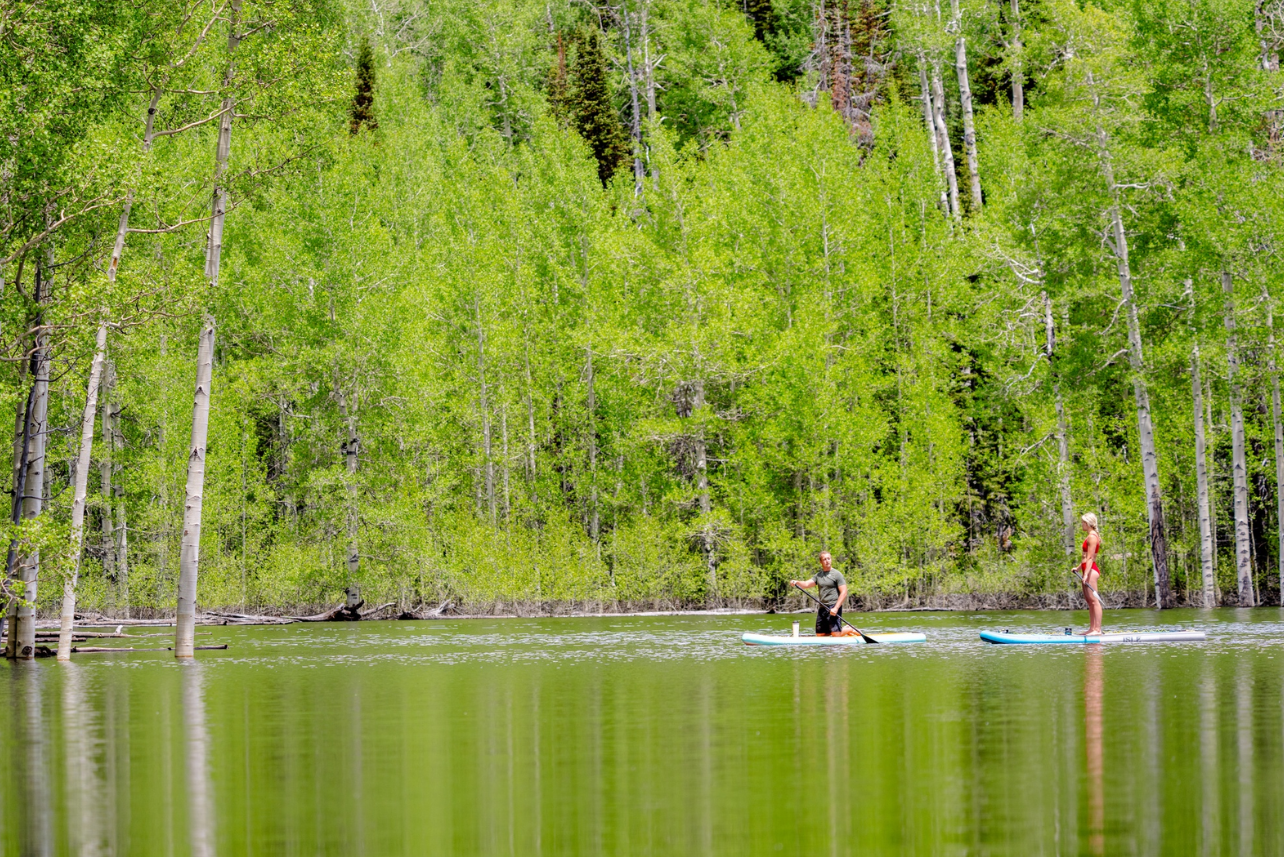 The River of Collaboration: Your Perspective in the Bigger Picture