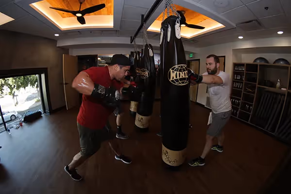 Punching Bags
