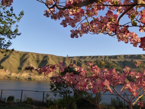 What happened at Peniel Ranch during crazy 2020? God was faithful!! Part 2