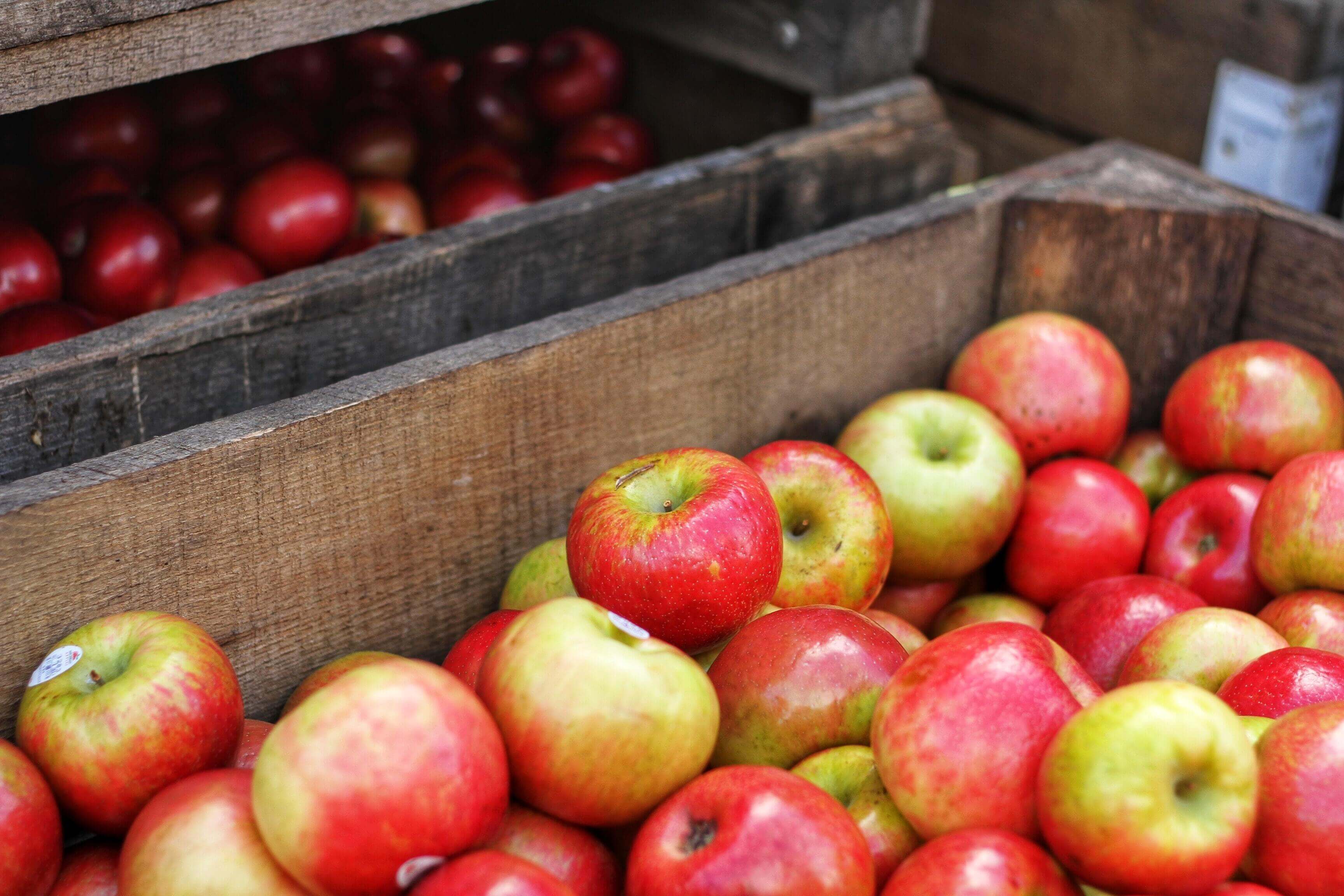 Apples in crates