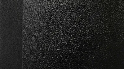 Leap upholstery surface in warm natural light