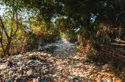 Food waste, the raw input behind a new generation of upcycled materials