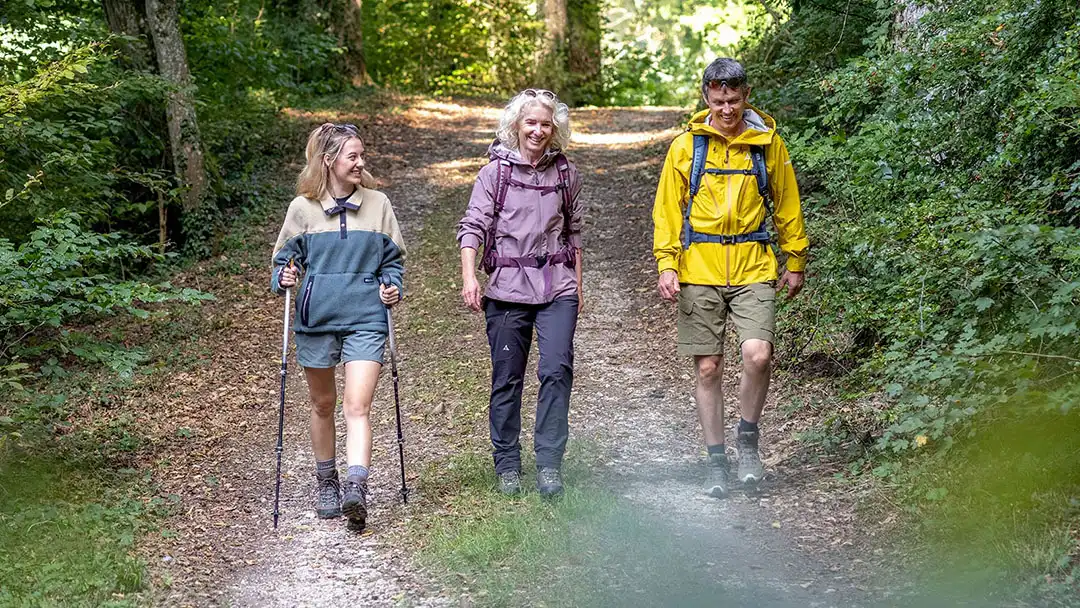 Drei Wanderer, zwei Frauen und ein Mann, spazieren ein Waldweg entlang.