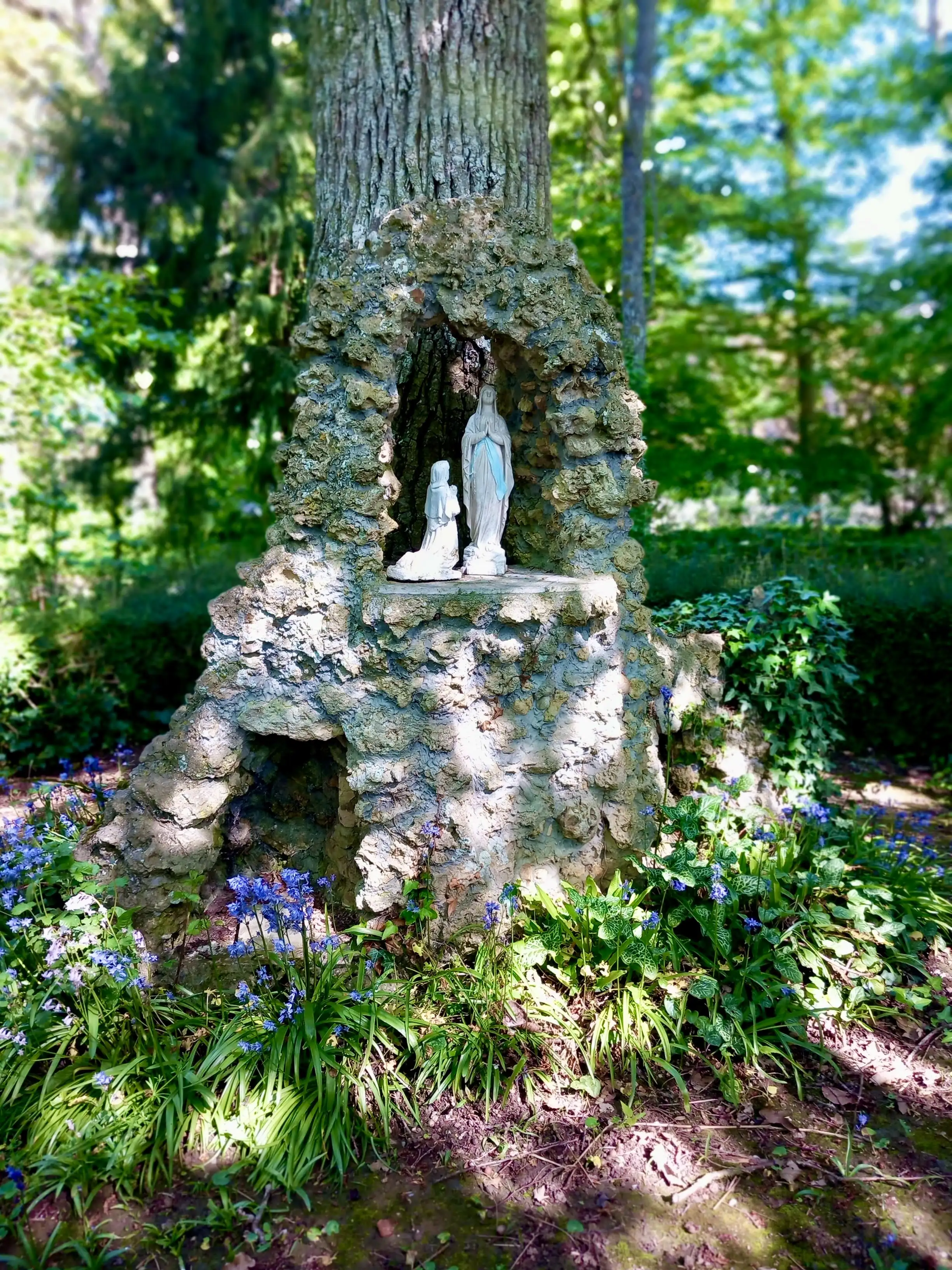 Couvent Notre-Dame-de-Fidélité — Douvres
