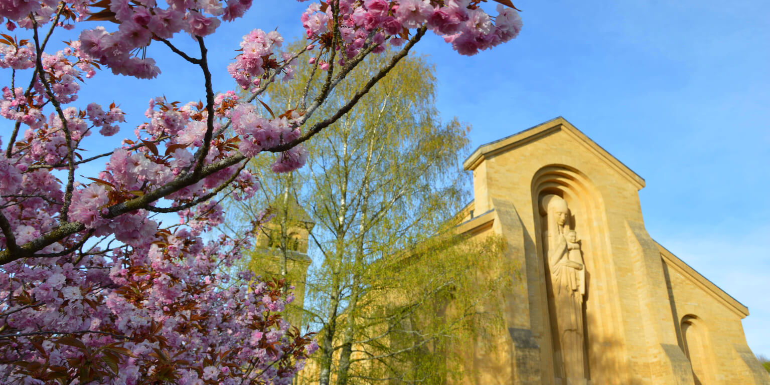 Abbaye de Soleilmont