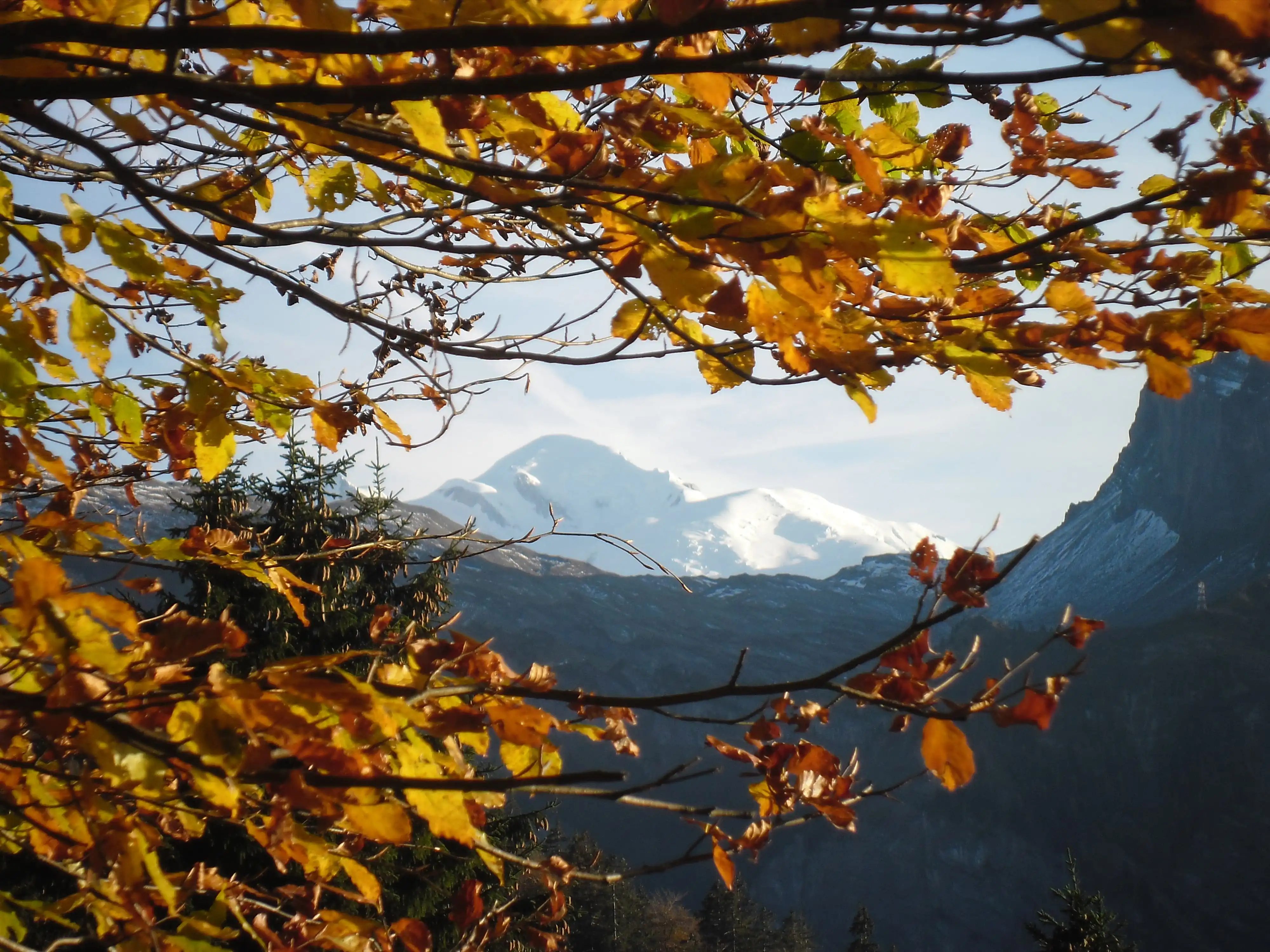 Chalet Béthanie - Samoëns