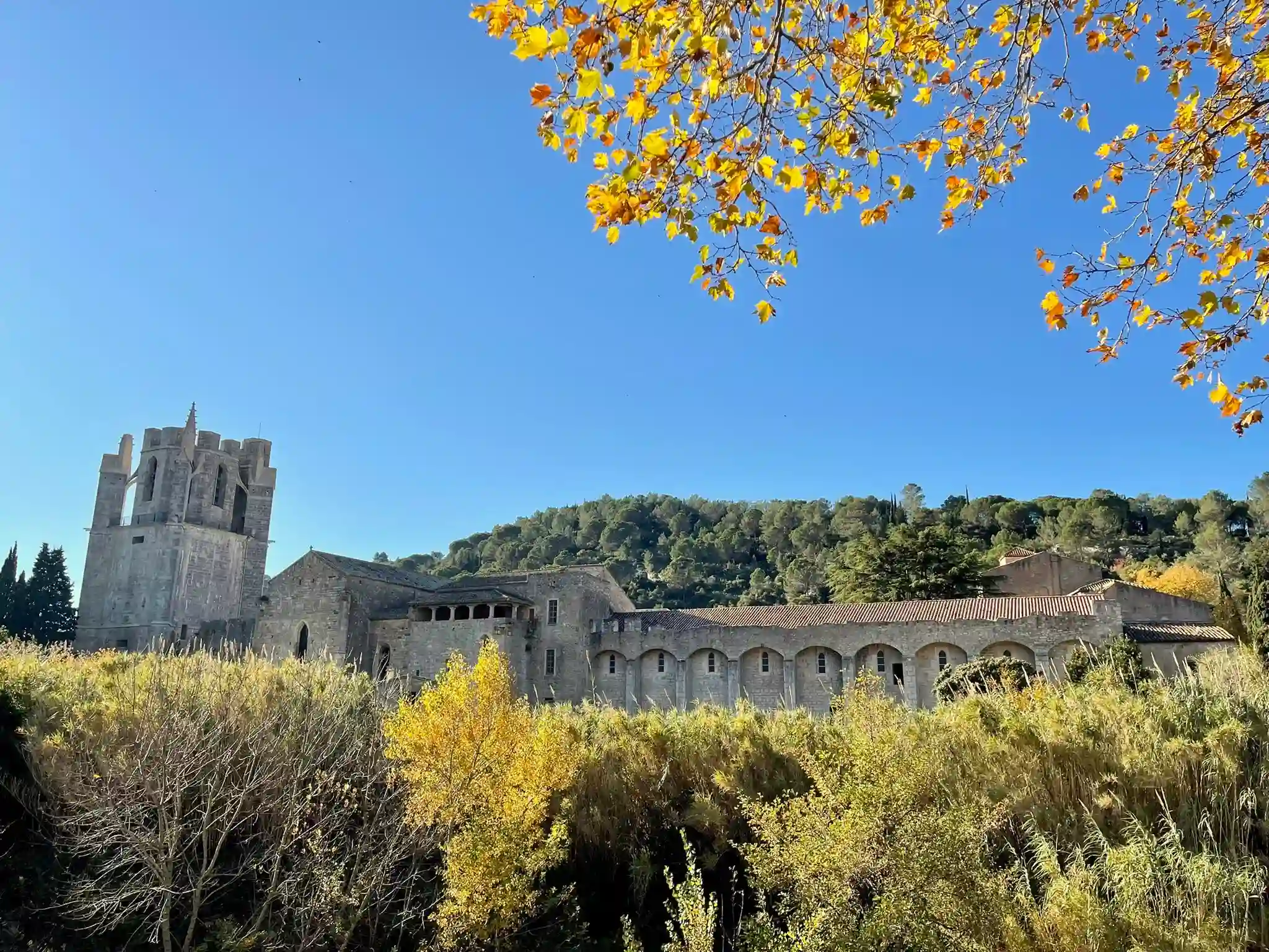 Abbaye de Lagrasse