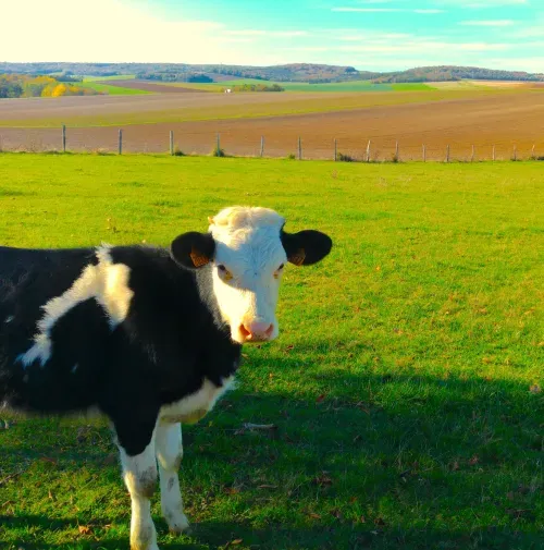 Monastère du Mesnil Saint-Loup