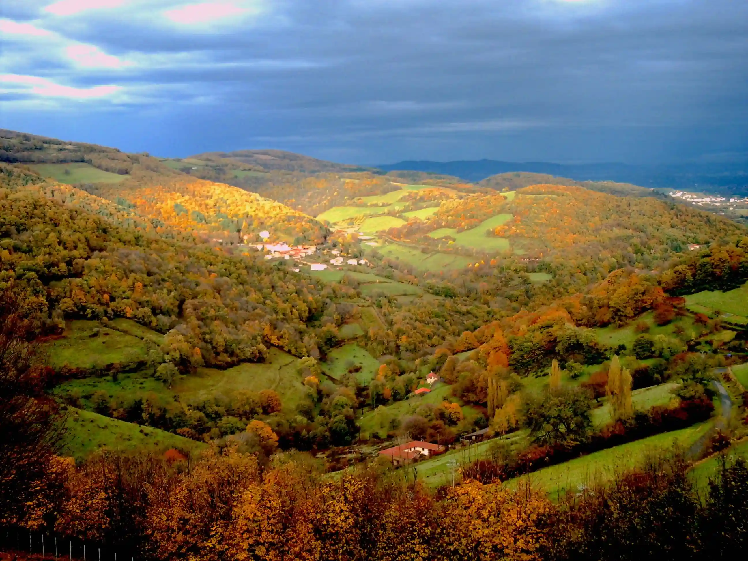 Carmel d'Yzeron
