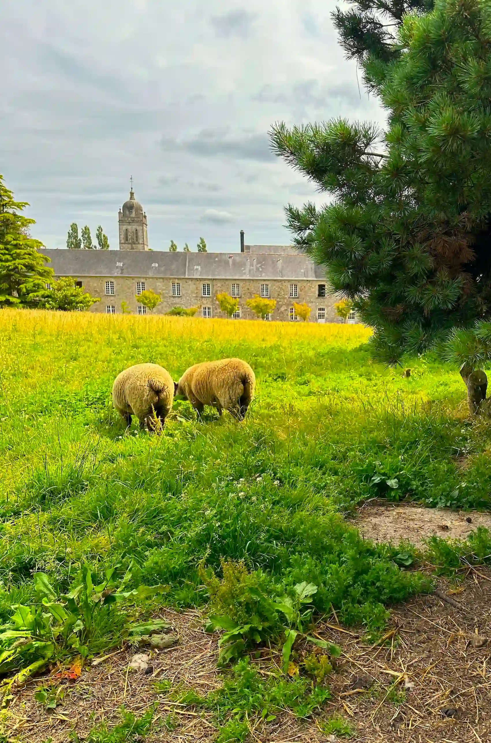 Abbaye de Bricquebec