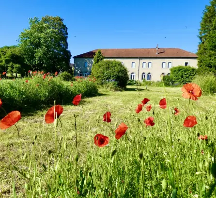 Carmel de Verdun