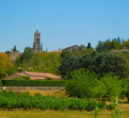 Sanctuaire Notre-Dame de Bon Secours