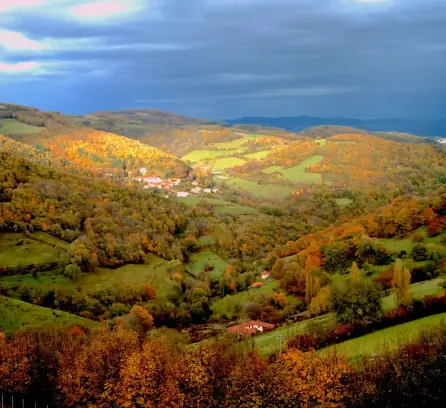 Carmel d'Yzeron