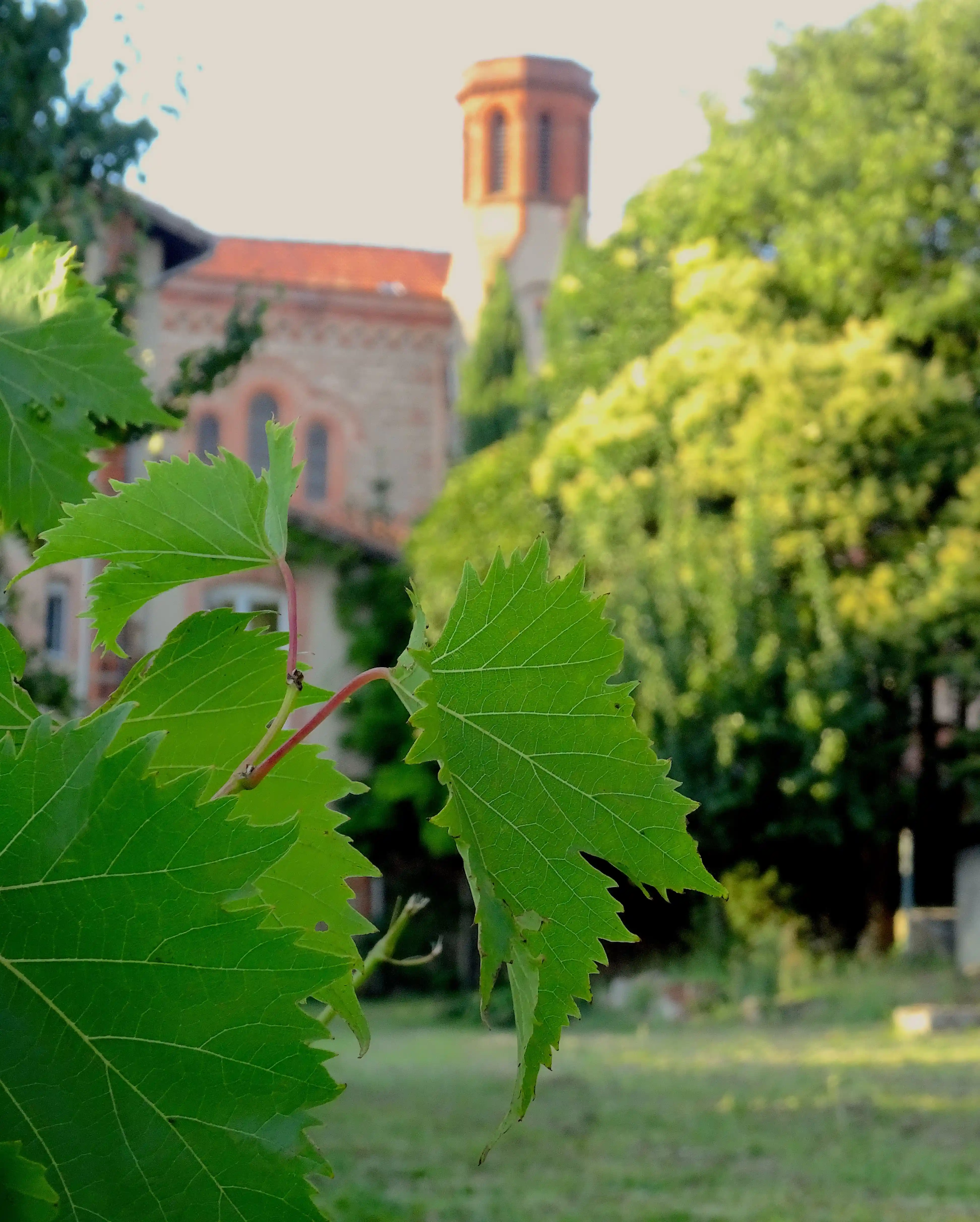 Couvent des Carmes de Toulouse