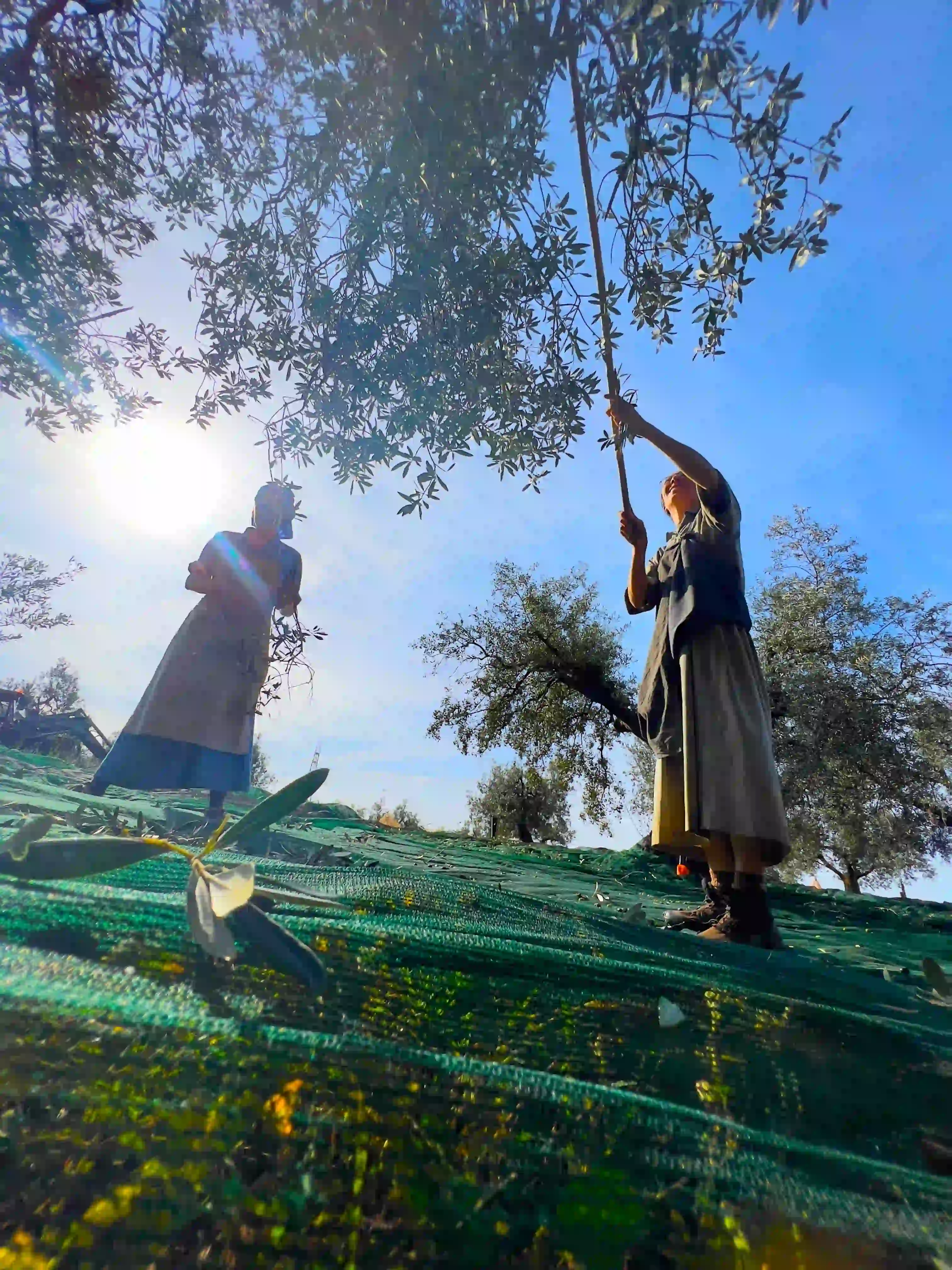 Monastero di Valserena