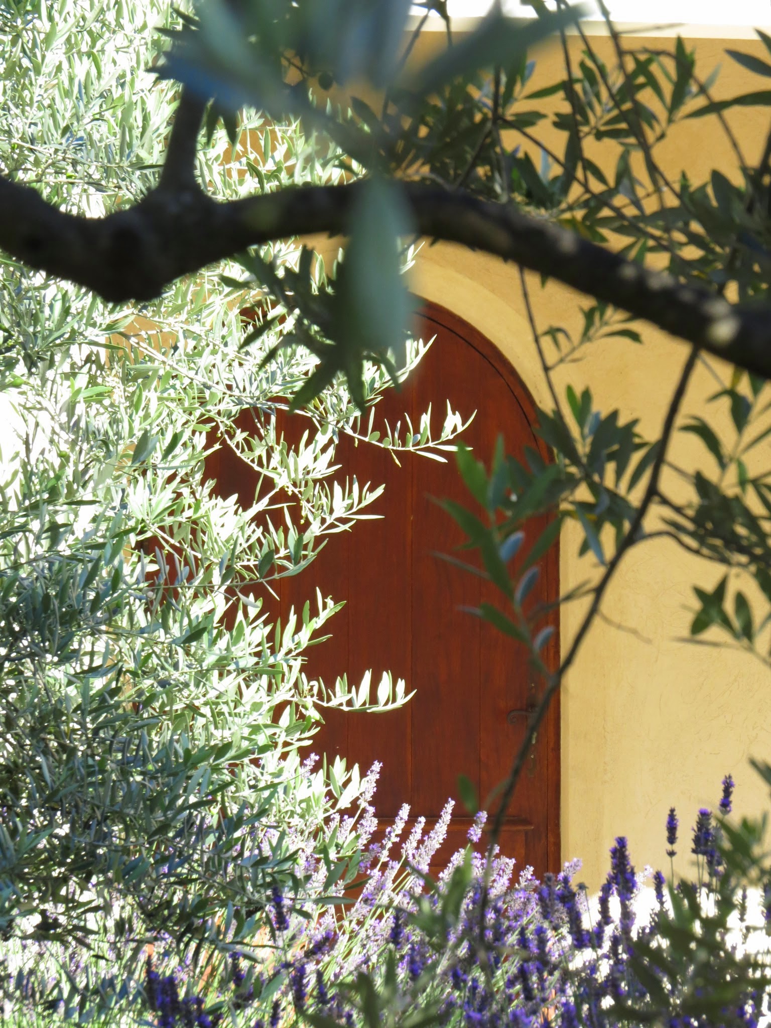 L'art de l'enluminure