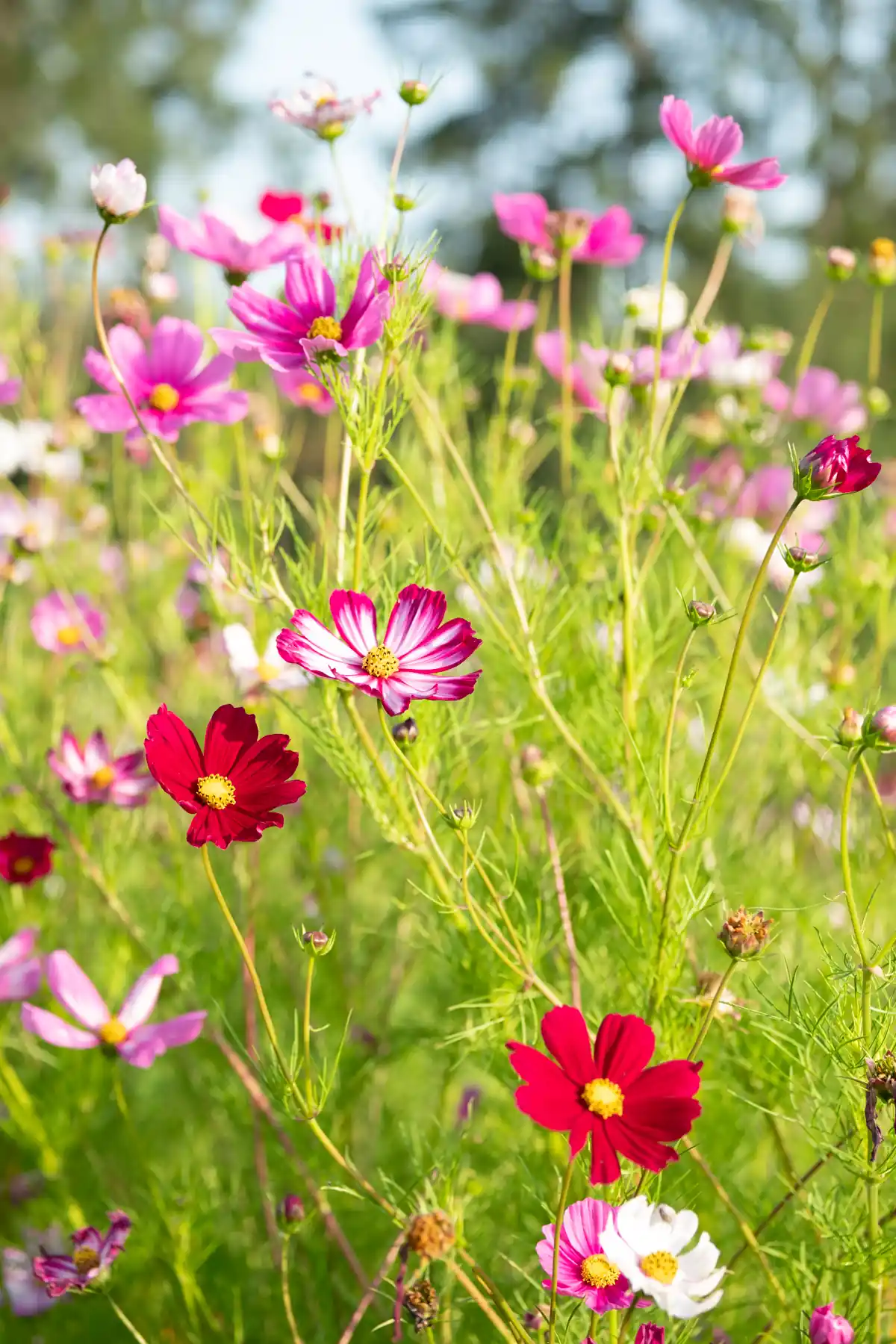 Fraternité de Tibériade - Maison des Soeurs
