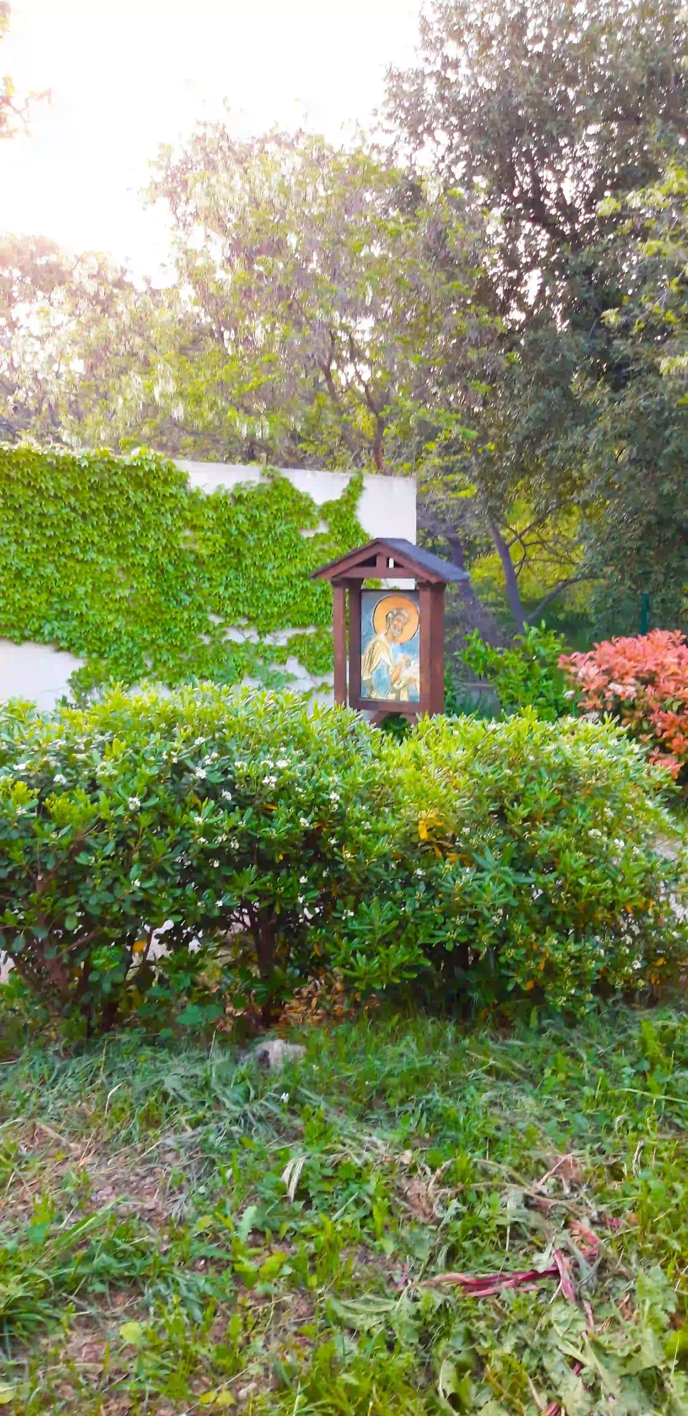 Communauté des Petites Sœurs de l’Agneau – Marseille