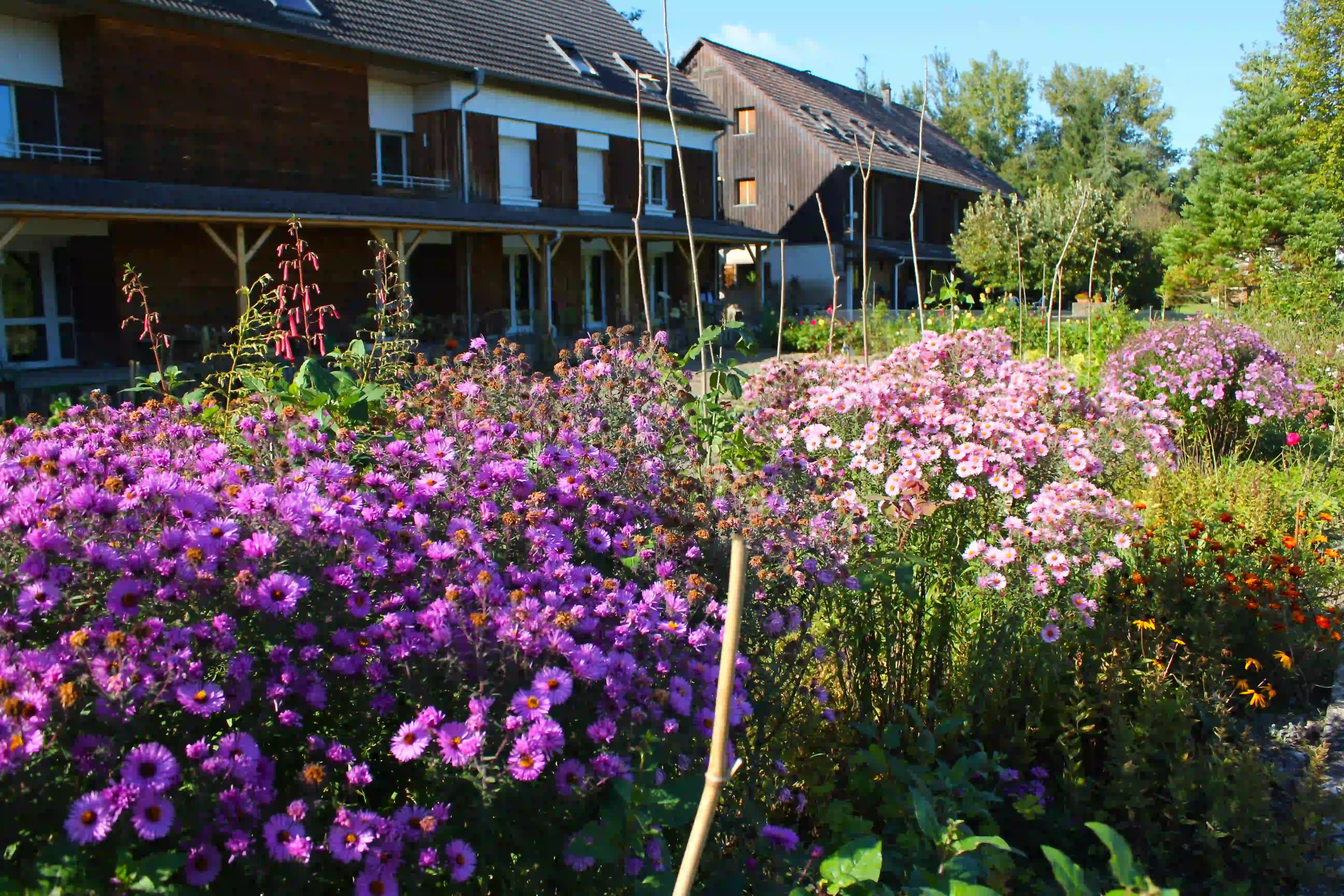 Retraite pour couples : Shabbat