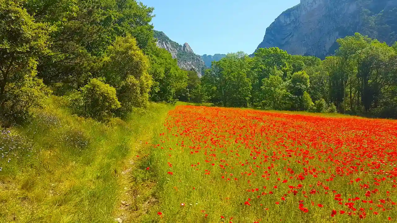 Maison Saint Joseph d'Allex