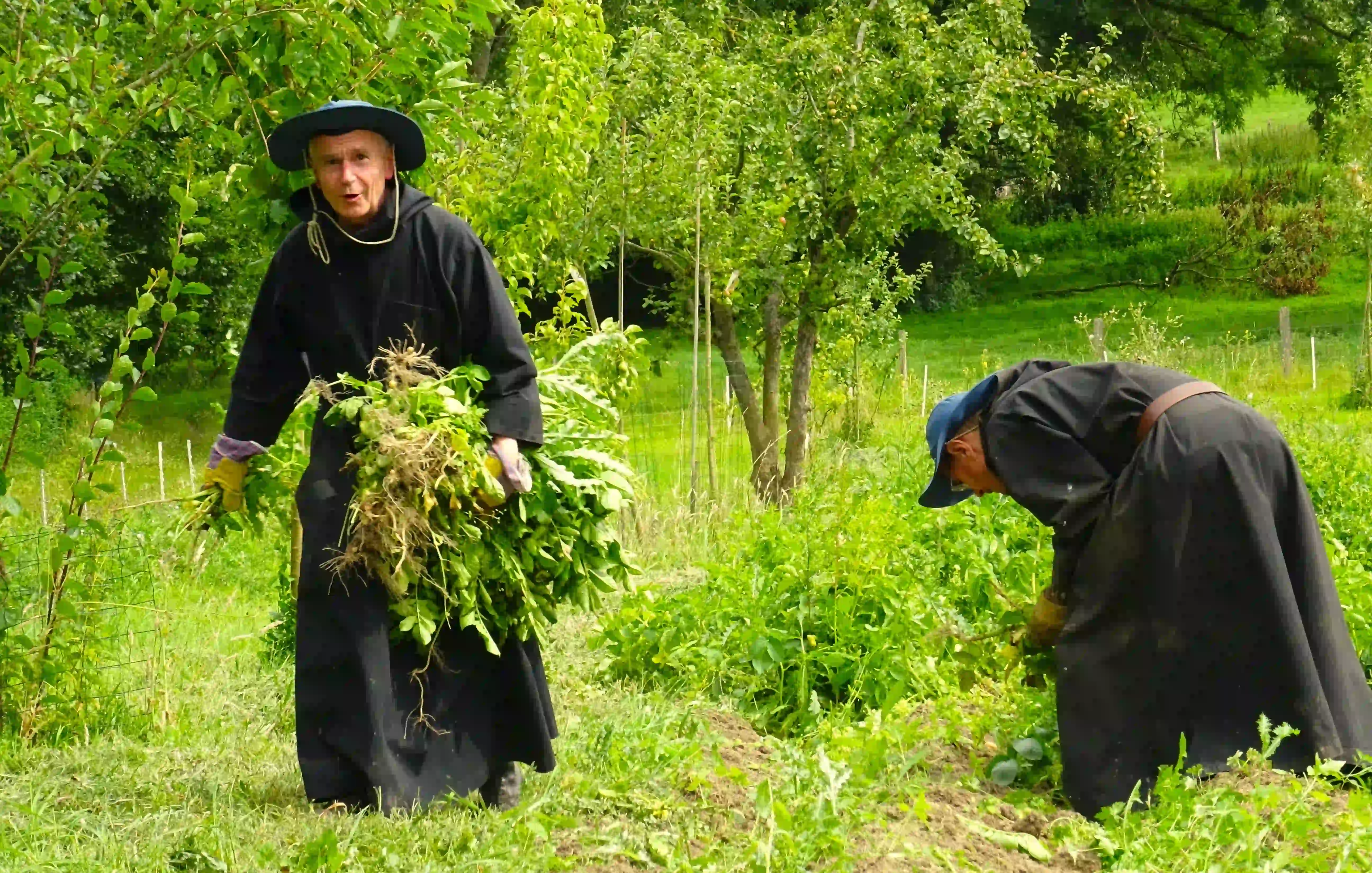 __wf_reserved_inherit