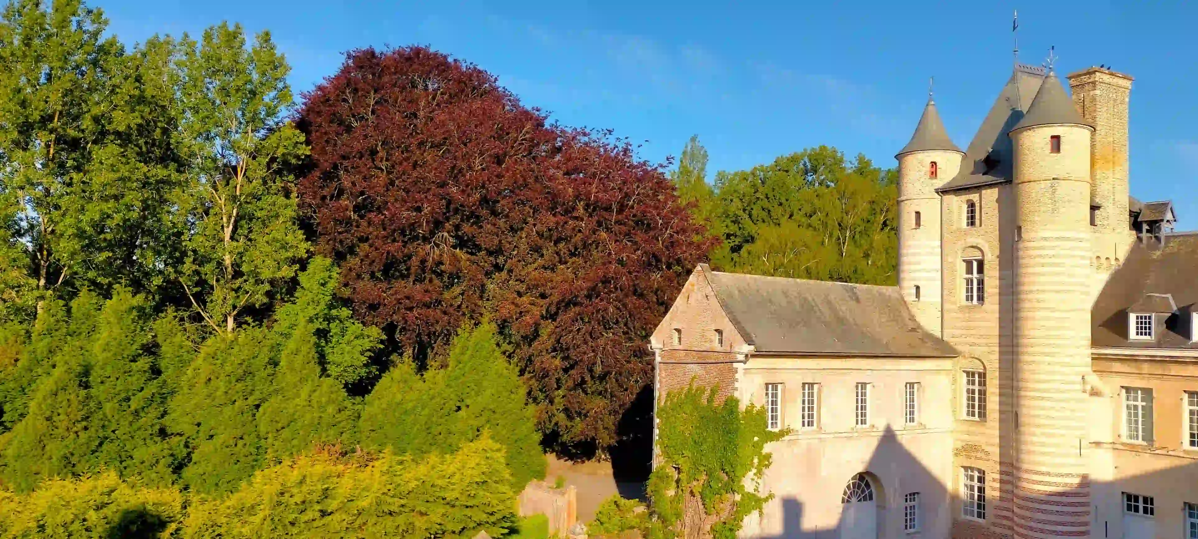 __wf_reserved_inherit