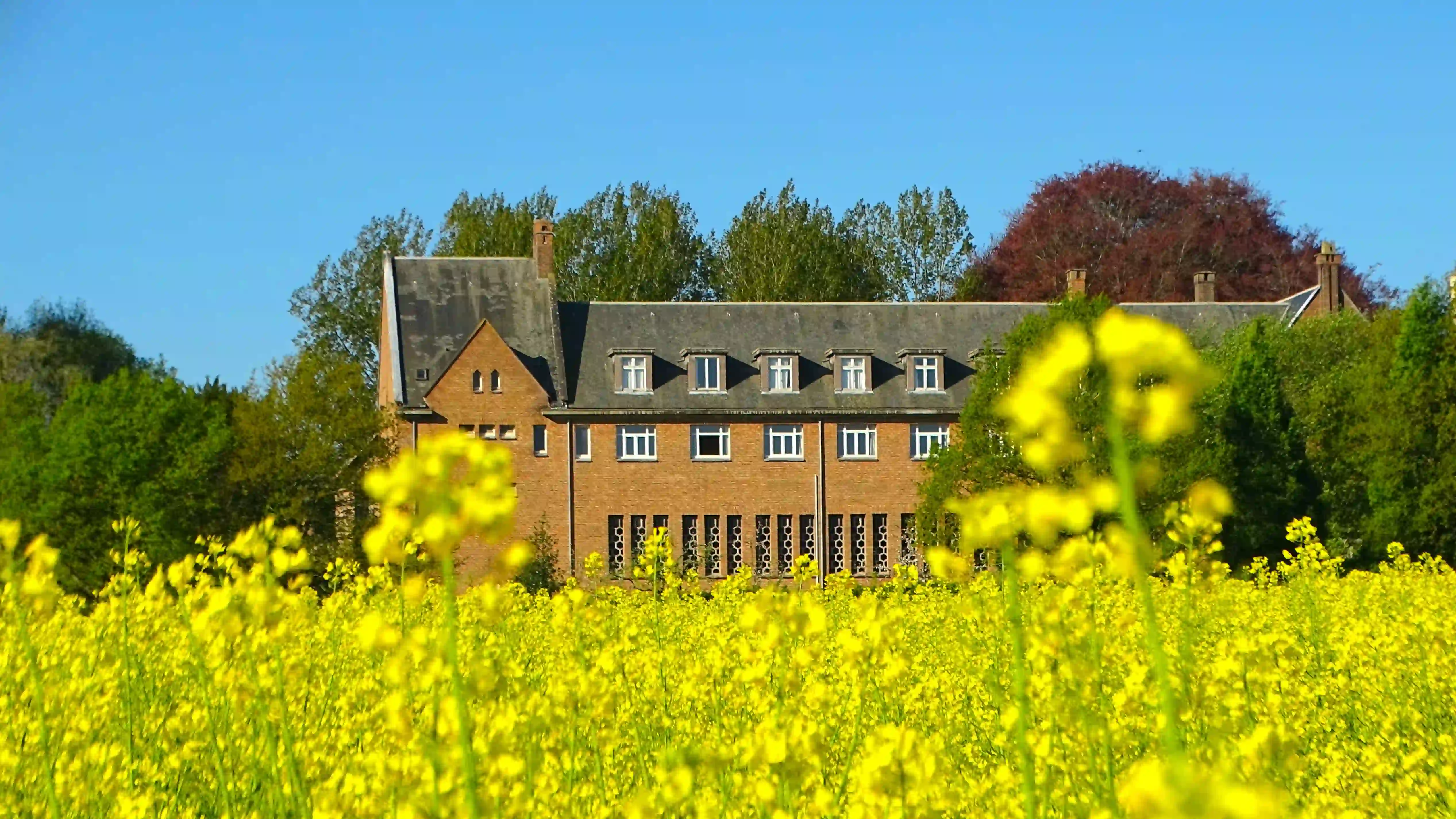 __wf_reserved_inherit