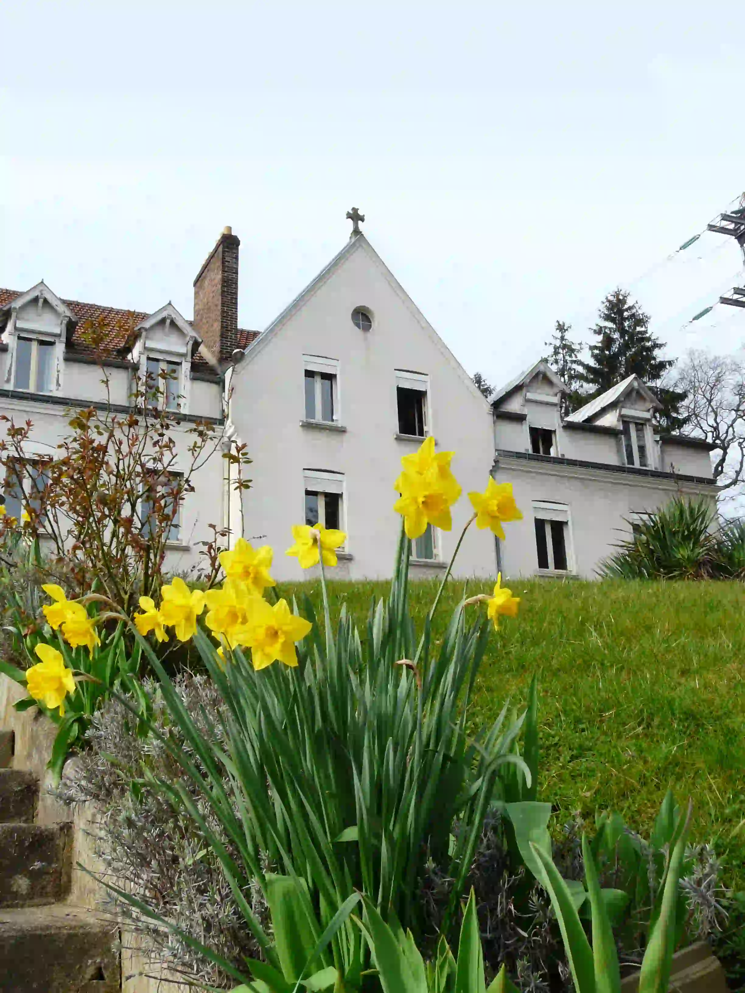 Bilan de compétences vocationnel