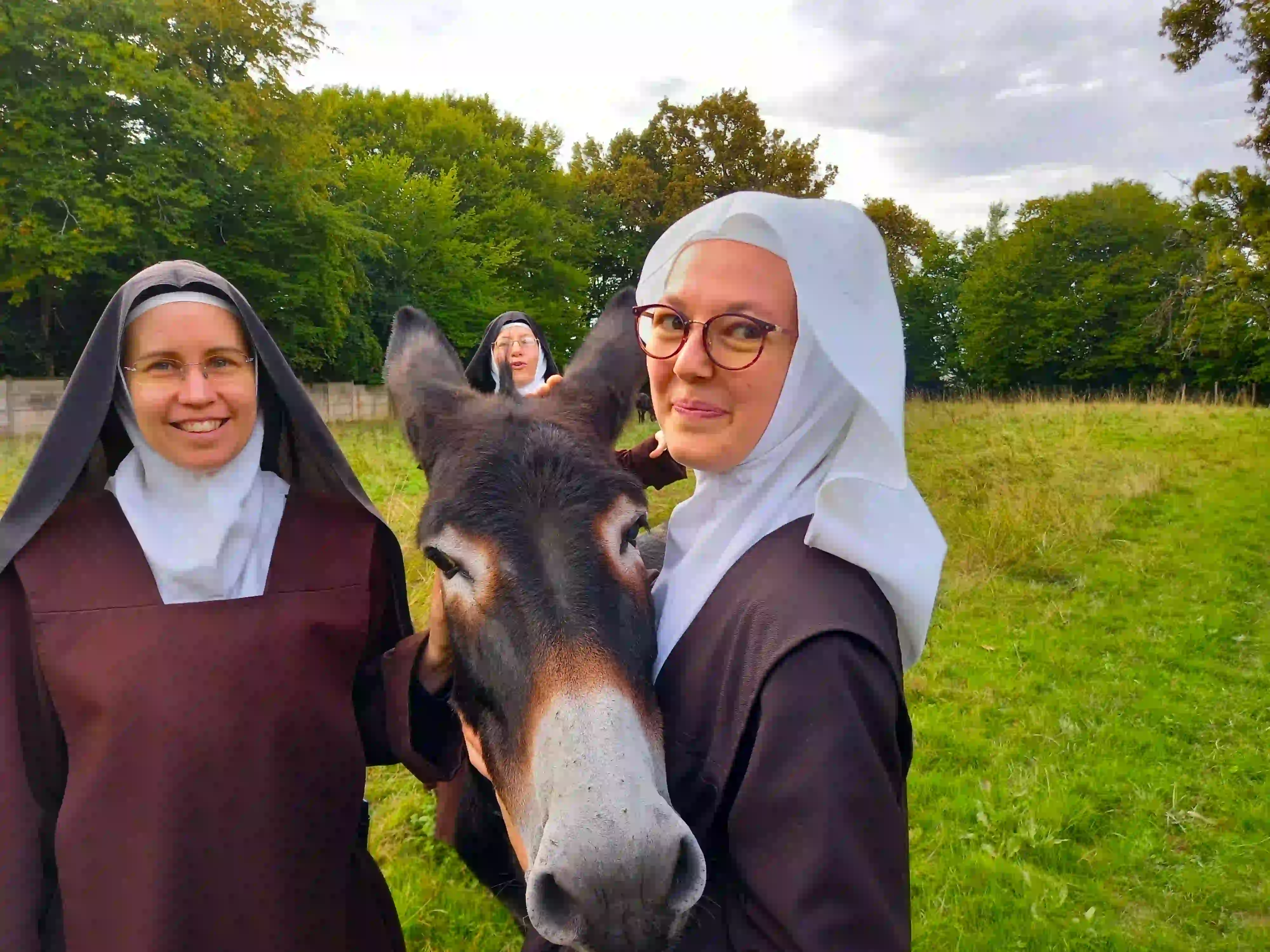 __wf_reserved_inherit