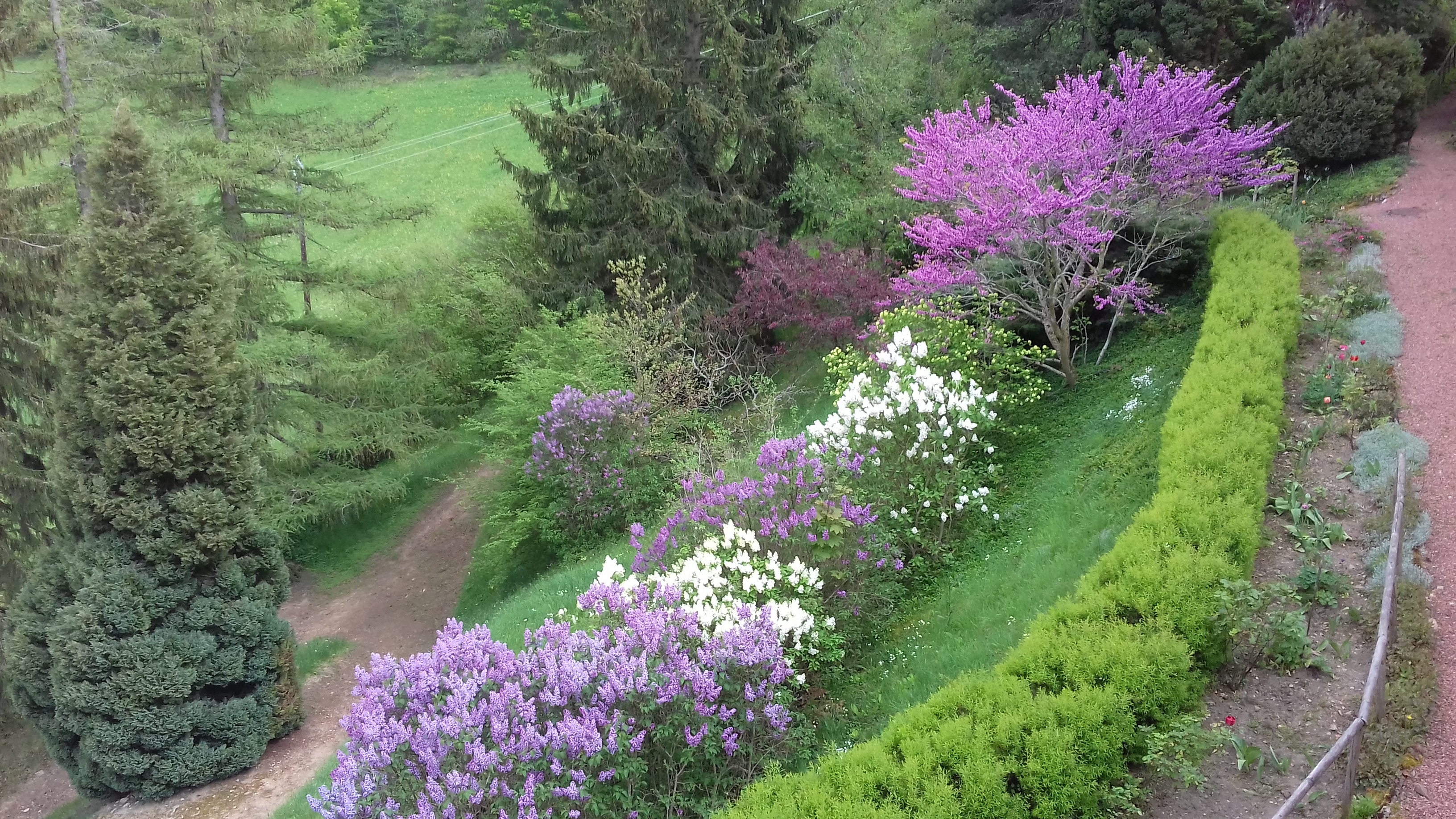 __wf_reserved_inherit