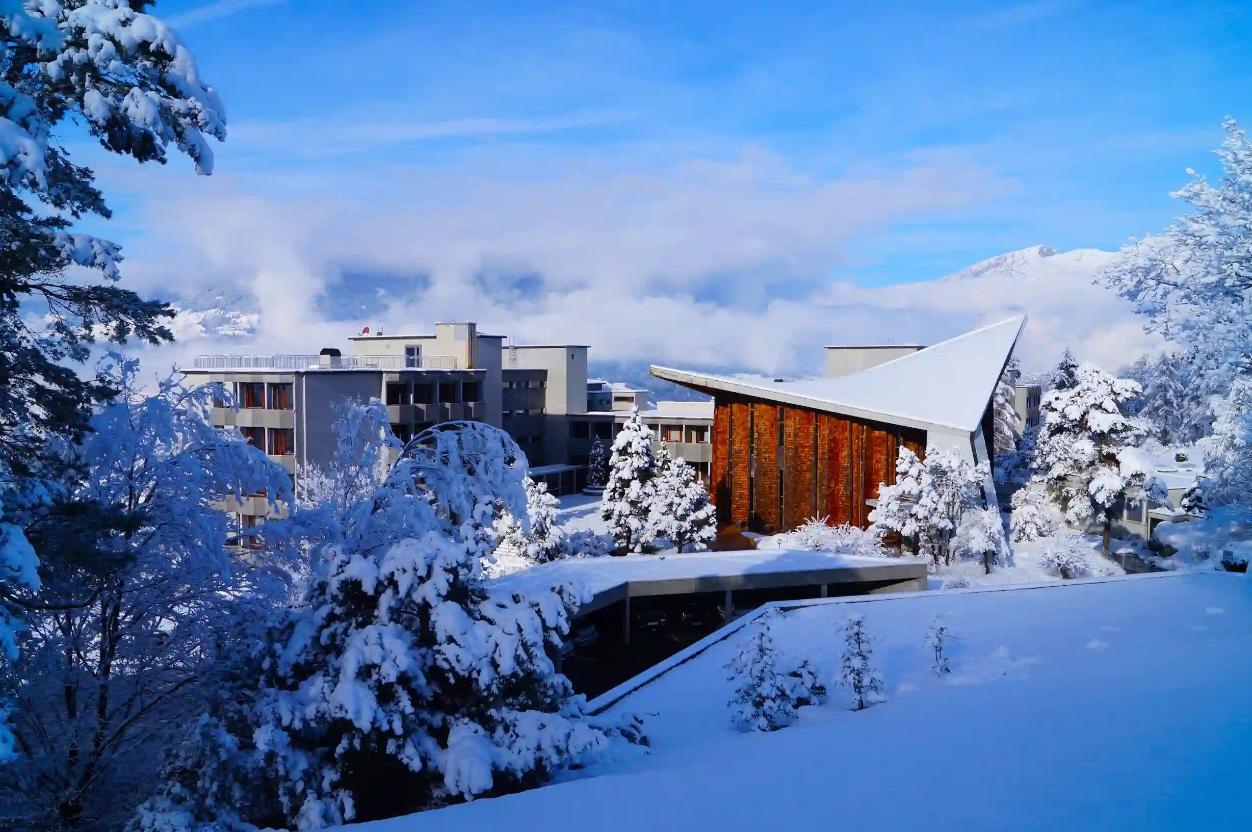 __wf_reserved_inherit