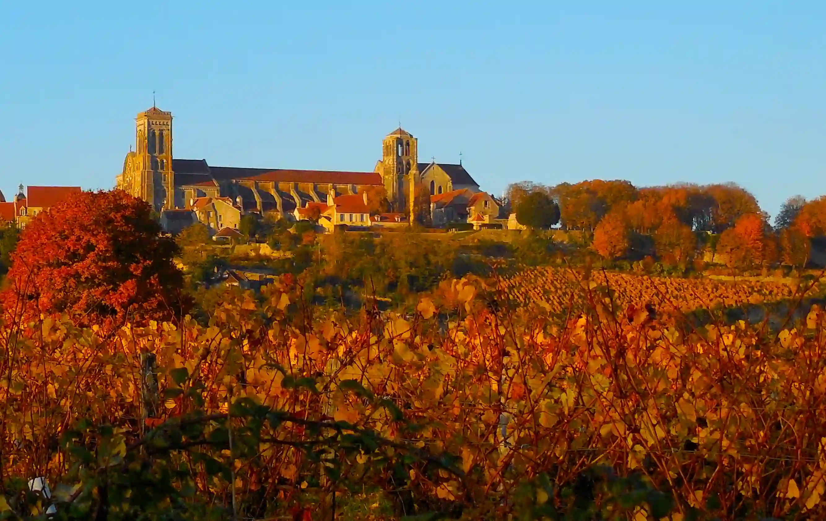 __wf_reserved_inherit