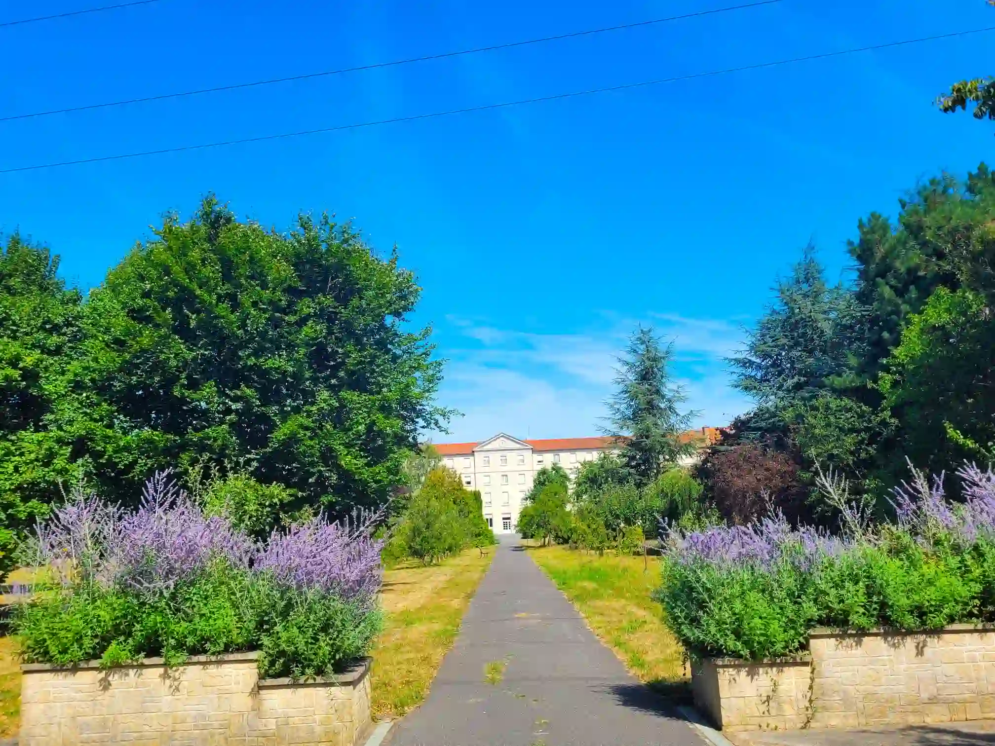 __wf_reserved_inherit