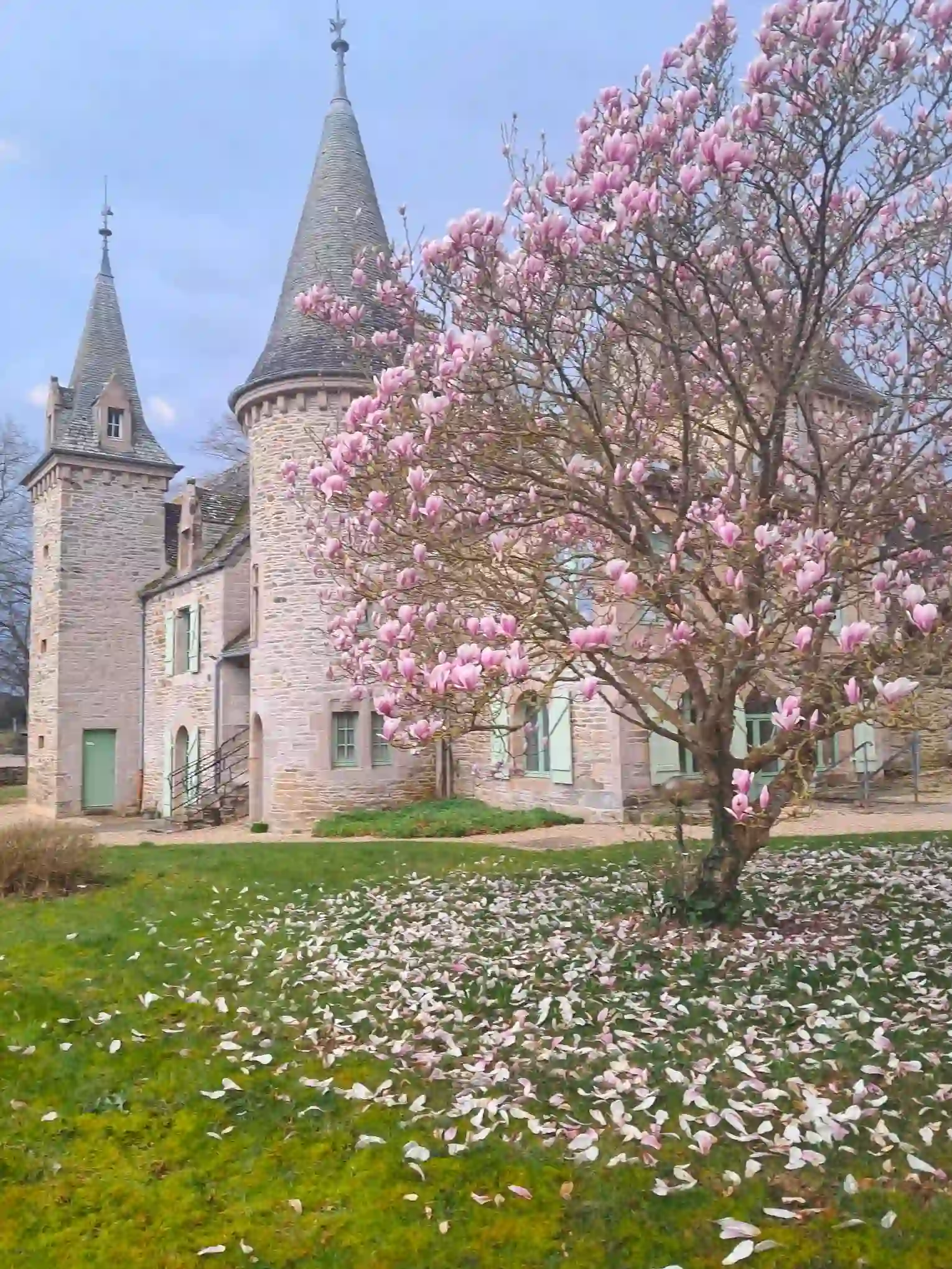 __wf_reserved_inherit