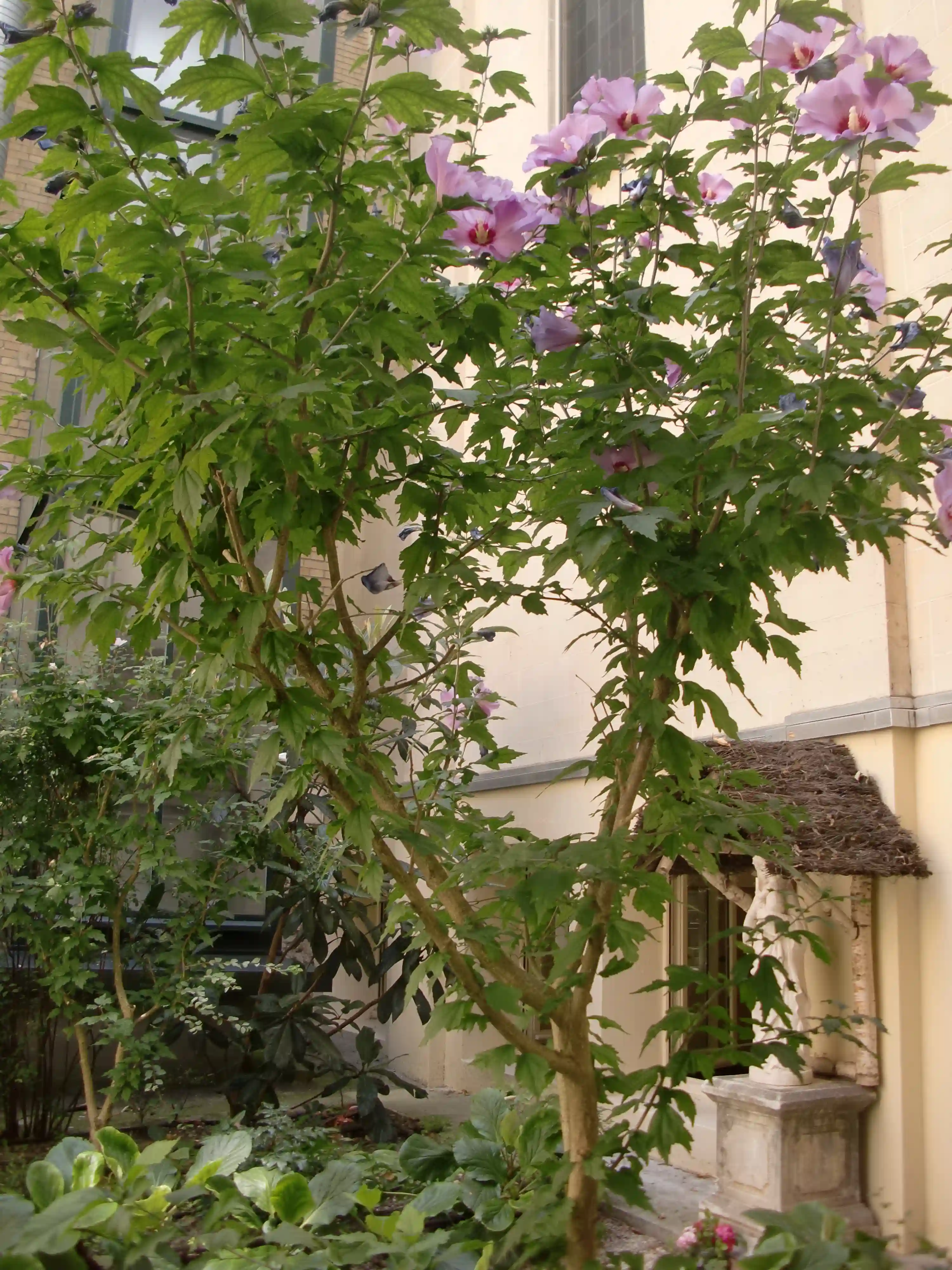 __wf_reserved_inherit